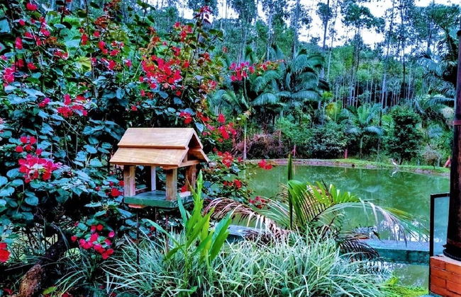 Sitio Libardo - Nova Trento - SC - Foto 45