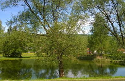 Ferienwohnung Ziegler - Foto 9