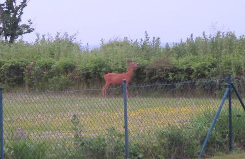 Ferienwohnung Kath - Foto 15