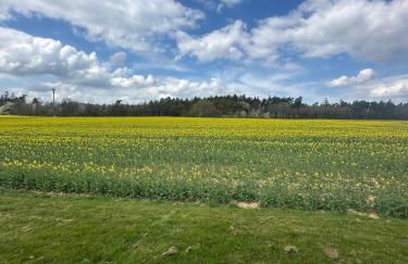 Ferienhaus Hof Schöneck in sehr ruhiger Alleinlage - Photo 18