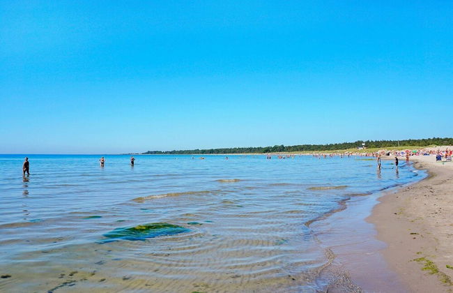 4 Person Holiday Home in Gotlands.tofta - Photo 42