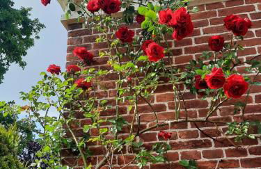 Haus am Herrenwall - Photo 9