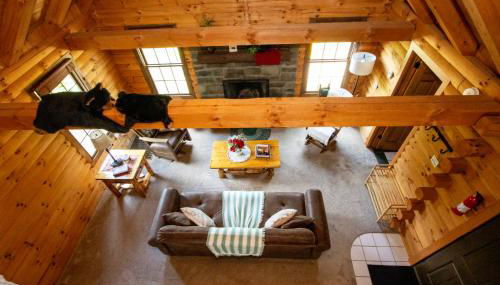 Honey Bear Cabin - Photo 4