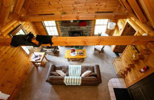 Honey Bear Cabin - Photo 4