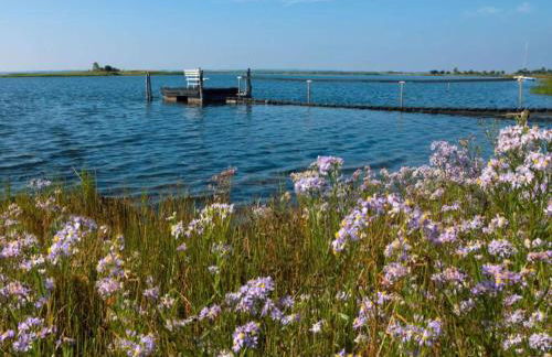 Bungalow auf der Insel Poel for 2 Personen - Foto 22