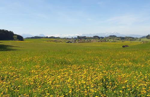 Ferienwohnung 'Get Moor' - Foto 15