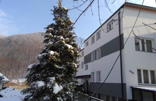 Apartamenty „Nad Popradem” - Foto 65