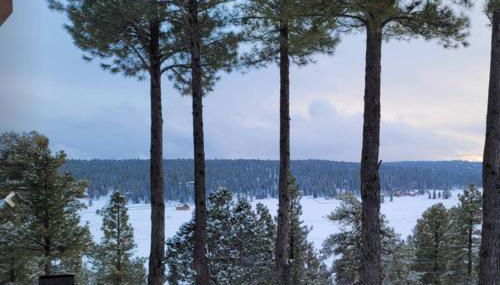 Pet Friendly Eagles View Cabin Retreat - Foto 3