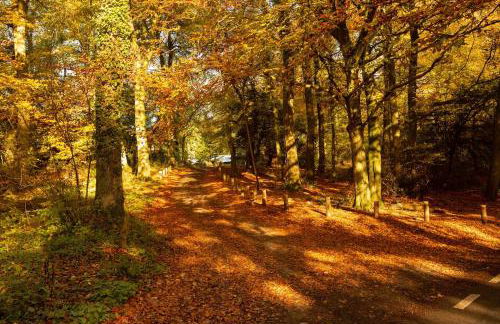 The Organic Cotswolds Cowshed - Photo 52