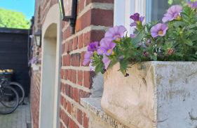 Weberhof-Münster 2 - Foto 35