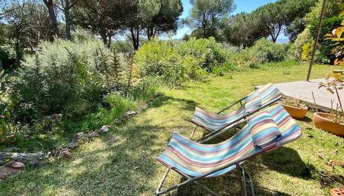 VILLA Saint Raphael Valescure Piscine Clim Wifi Golf - Foto 4, Garden