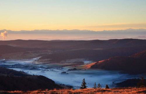 Echtes Schwarzwaldhaus - Traditionell & Modern - Foto 27