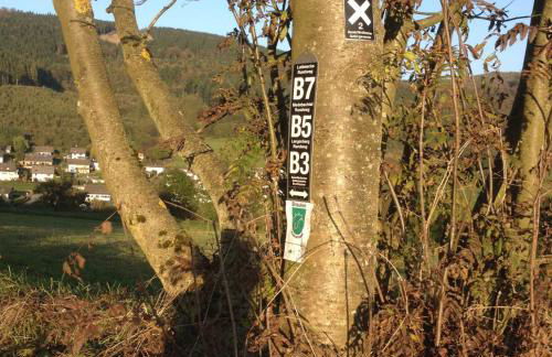 Haus Schnurbus - Foto 37