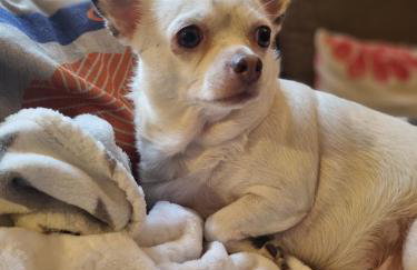 Maciejówka Borki 33 - Foto 65