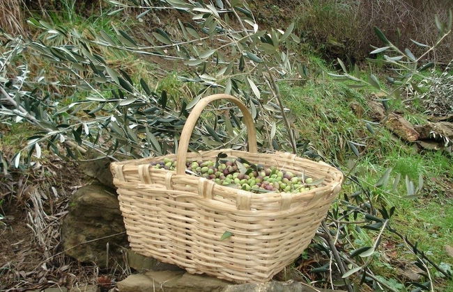 Agriturismo A Veggia Vigna - Foto 19