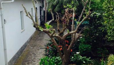 Cavo Beach 2 - Foto 1