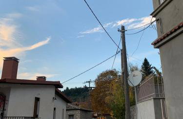 FOREST VIEW ELISAVET - Foto 4