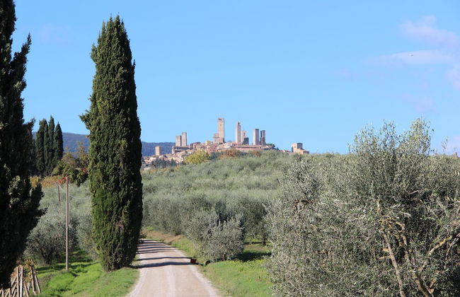 Agriturismo Torre Prima Holidays - Photo 50