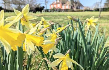 Humphries Cross Apartments - Foto 29