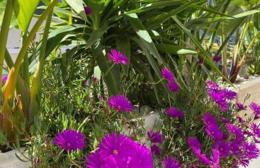 Arty city house Casa Da Selva - Foto 24