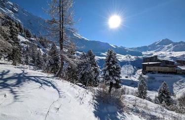 La Perdrix Blanche Appartement moderne Ski aux pieds - Vue panoramique et chambre séparée - 4 pers - Arcs 2000 - Foto 17
