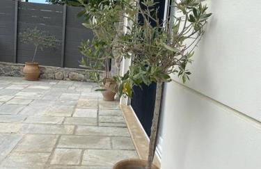 Villa Oleander Agios Nikolaos Loutra Edipsou - Foto 6