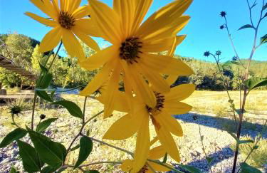 Agriturismo Malvista - Foto 41