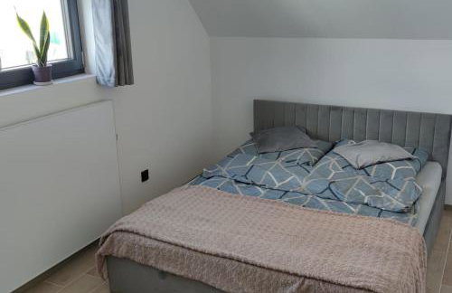 Krzywy Domek Niesiołowice - Foto 9