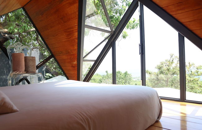 Bosque Geométrico - Foto 5