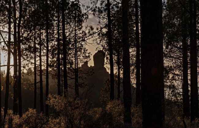 Osservazione astronomica alla Ventana del Nublo - Foto 5