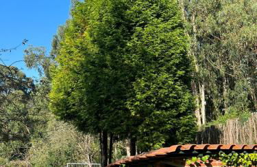 Cabaña de Caldones - Foto 16