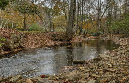 Meadow Creek Retreat - Foto 7