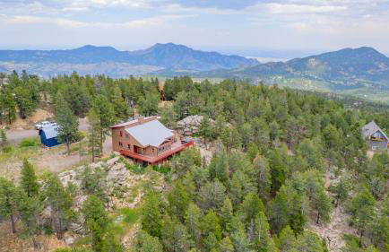 Golden Oasis - Photo 20