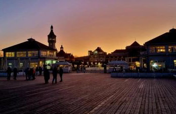 Leśna Przystań Rumia - obok Gdyni i Aquaparku Reda - Foto 65