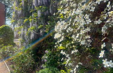 Cheshire Barns - Photo 23