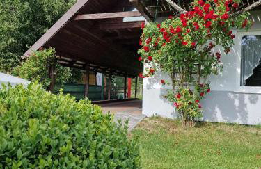 Nina Kopalino - Foto 29