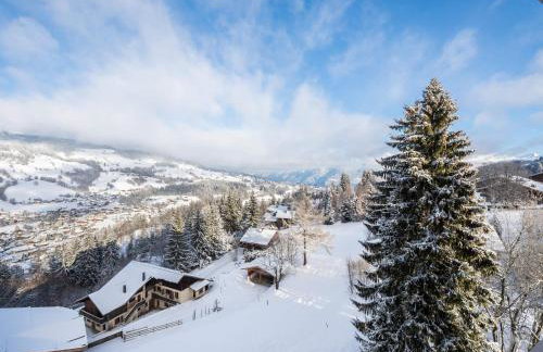 Charmant appartement au Mont d'Arbois proche pistes, parking inclus - FR-1-569-11 - Foto 12