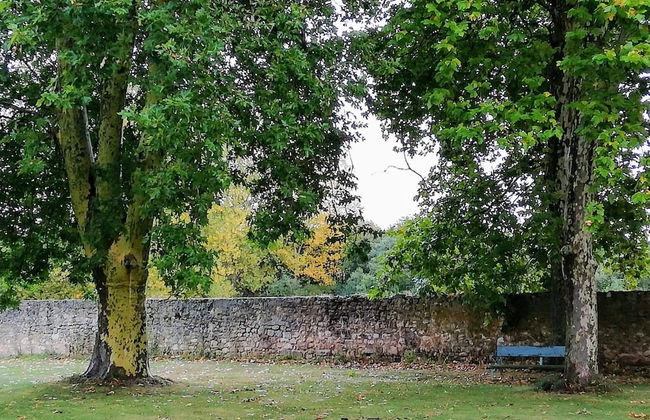 Finca Santa Eufemia - Foto 29