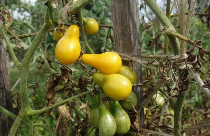 Apartment Mia - Foto 57