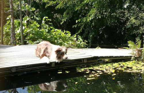 Apartment Green Elephant - Foto 32