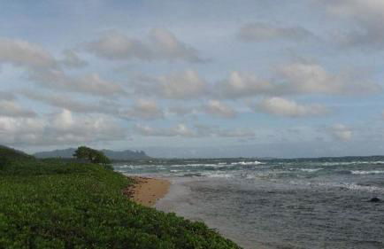 2417 at Oceanfront Resort Lihue Kauai Beach Drive Private Condo - Foto 63