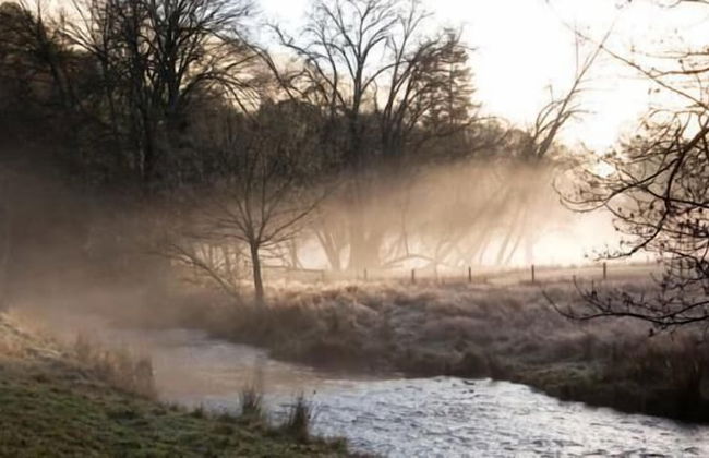 Toorongo Valley Estate - Foto 35