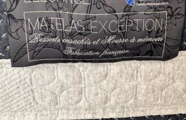 La Maison Adonis - Aux portes de la Sologne - La Ferté-Saint-Aubin - Photo 9