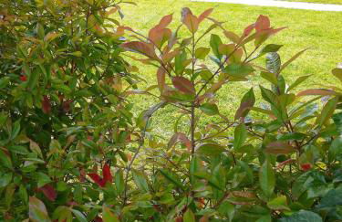 Casa Vacanze Riviera del Brenta - Photo 31