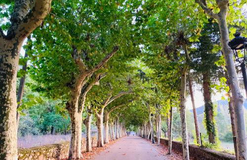 Prime Loft LA RIOJA VT-LR-1923 - Photo 50