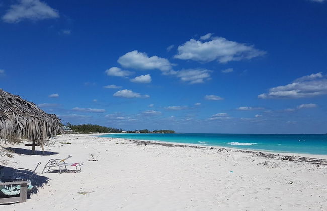 Spacious Villa On The Beach - Photo 44