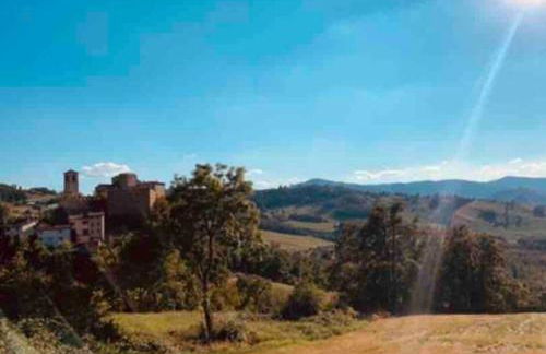 Castagneti House -14 km dalla FERRARI - Foto 18