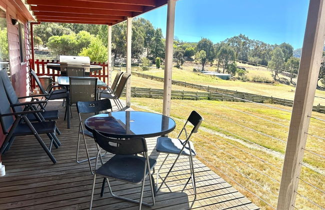 The Black Sparrow - Photo 42