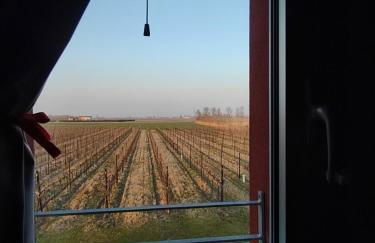 CorteZecchina - Photo 4