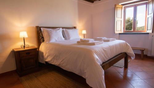 Horta dos Caracóis - Foto 4